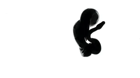 Video of python silhouette on white background Stock Footage 154786034