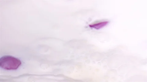 Video of radish falling into milk in real slow motion Stock Footage 78629662