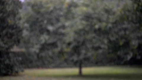Video of rain falling Stock Footage 112609547
