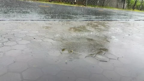 Video of the rain Vidéo 226182263