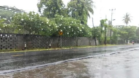 Video of a rain Vidéo 226183562