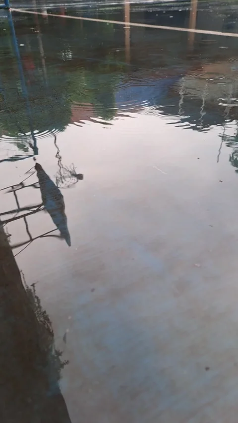 Video of raindrops Stock-Footage 296024993