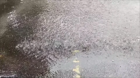 Video of rainwater falling and pooling on cement floor Stock Footage 321622548