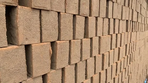 Video of raw bricks in an artisan factory in South America. Stock Footage 256047046