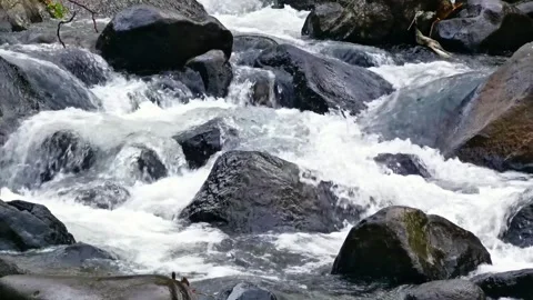 Video recording of river flow with clear and fresh water Stock Footage 309408299