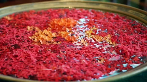 Video of red Ixora flower floating on water at spa resort wellness Stock Footage 55626809