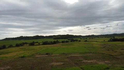 Video of rice fields with drone Video stock 274622606