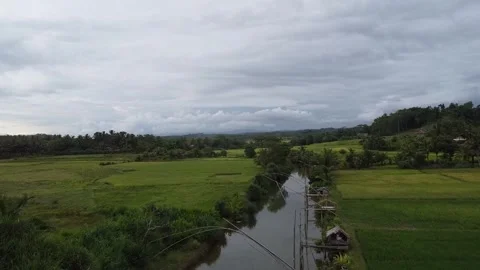 Video of rice fields, rivers and sea Video stock 274336336