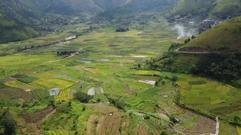 Video of rice fields under the valley Location Samosir, North Sumatra Indonesia Video stock 230175943