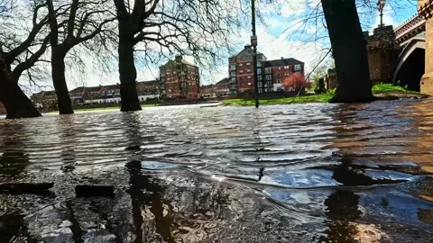 Video of the river and trees in Yorks Stock Footage 273833340