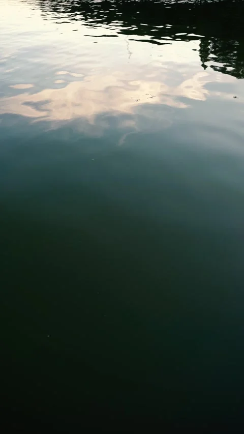 Video of river water flows Stock Footage 281768355