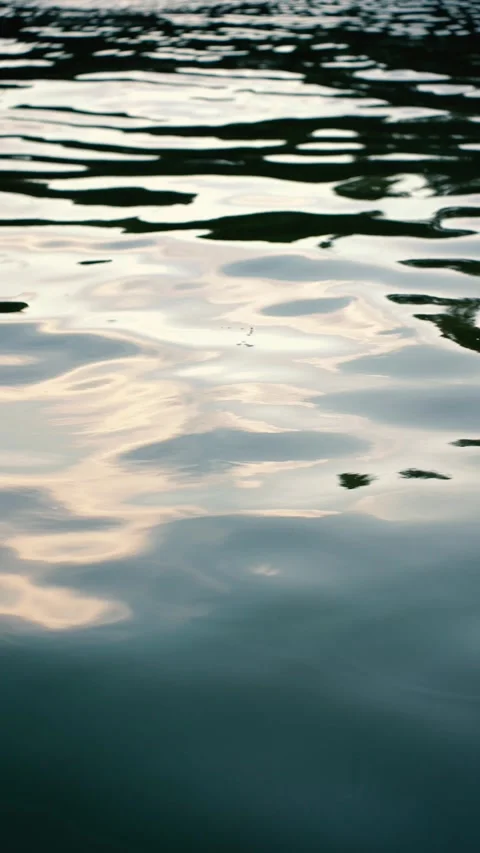 Video of river water flows Stock Footage 281768400