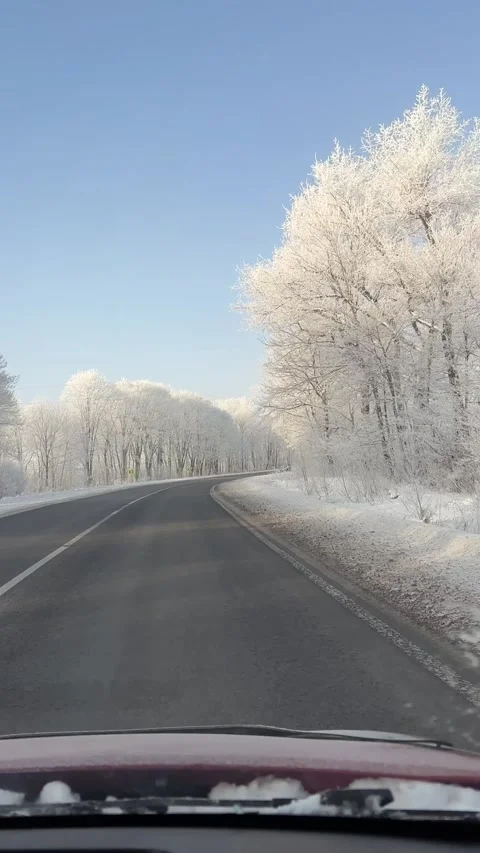 Video of a road among the trees Stock Footage 329163117