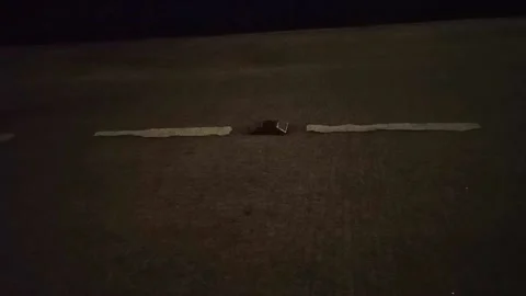 Video of road stud at night 動画素材 236746140