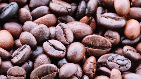 Video of roasted coffee beans moving slowly past camera showcases their rich tex Video stock 337287565