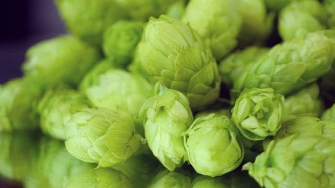 Video of rotating hops in 4K Stock Footage