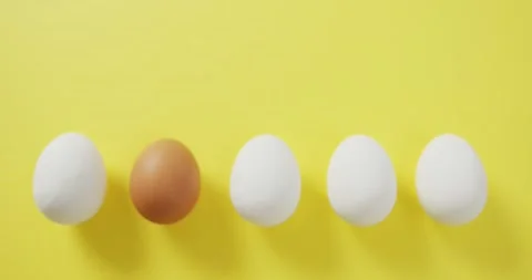 Video of row of one brown and four white eggs with copy space on yellow Stock Footage 341931023