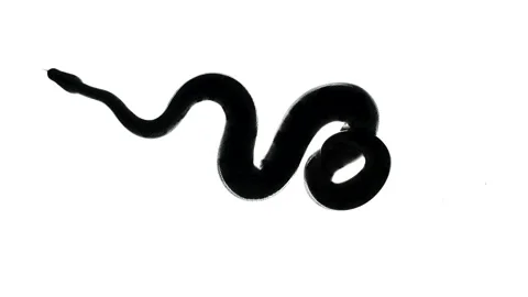 Video of royal python silhouette, camera from bottom Stock-Footage 154573528