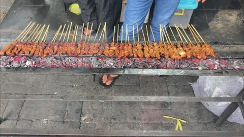 Video sate 1 Stock Footage 342609572