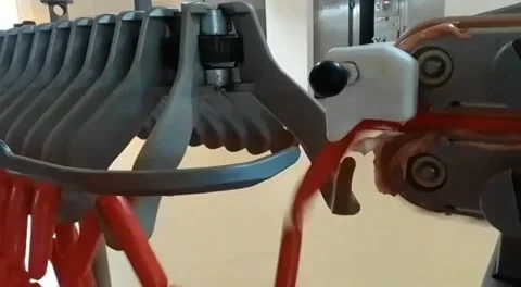 Video  sausage making process Stock Footage 236742833