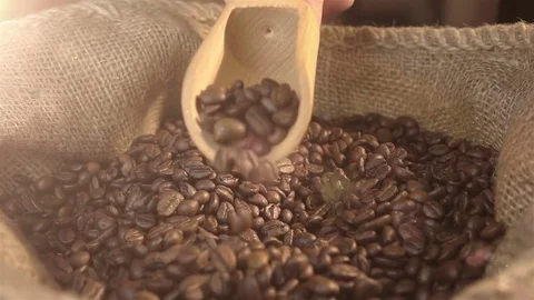 Video of scooping coffee beans in real slow motion Stock Footage 75174508