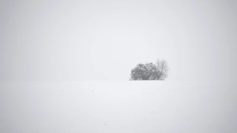 Video Selection of winter in the forest and fields. Stock Footage 84935521