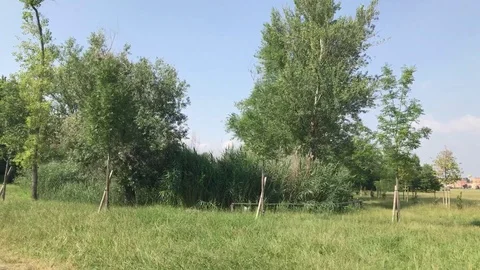 Video sequence in movement 動画素材 91981610