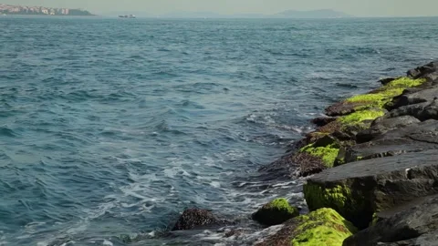 Video set: The coast of the Bosphorus Strait in Istanbul. Stock Footage 308320058