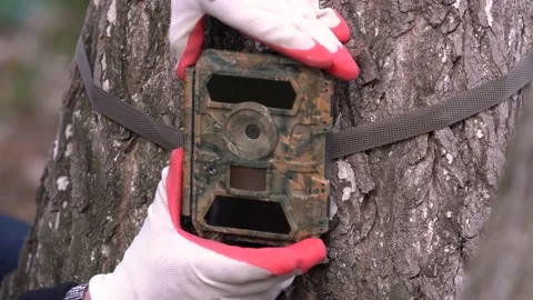 Video shoot camera for  animals.  Nature conservation. Video stock 153966570