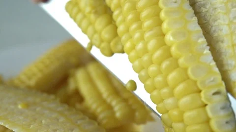 Video shooting,The chef is slicing corn kernels from the pod for cooking. Stock Footage 109134375