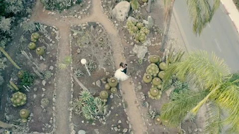 Video shooting from a drone of a bride and groom in a cactus park Video stock 220125370