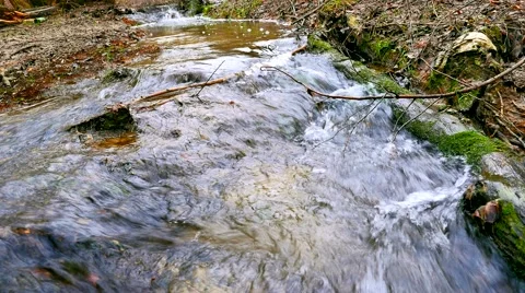 Video shot of little stream in the forest Stock Footage 61052353