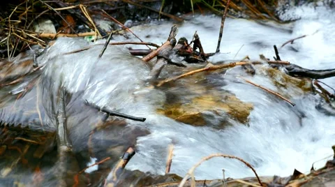 Video shot of little stream in the forest Stock Footage 61052503