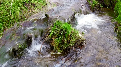 Video shot of little stream in the forest Stock Footage 61053293
