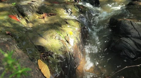 Video shot of mountain stream between stones Stock Footage 52082127