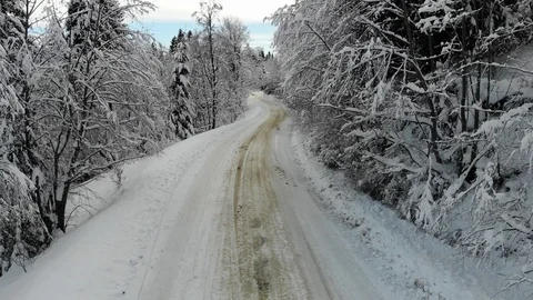 Video shot of walk  along path in winter snow forest on clouds weather Stock Footage 125508003