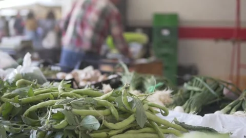 A video showcases fresh green beans at a lively market Stock Footage 306840438