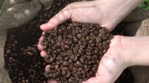 Video of showing coffee beans in real slow motion Stock Footage 75004071