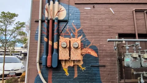 Video showing hand-painted owl artwork transforming electrical meters Stock Footage 340594783