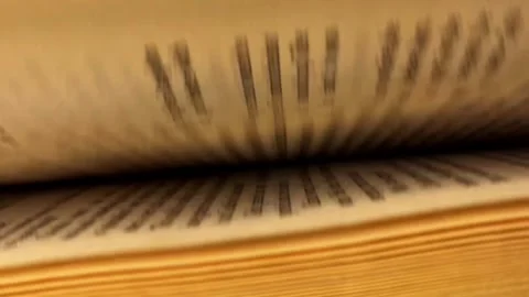A video shows a closeup of a book Stock Footage 315985071