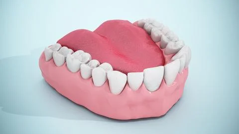 Video shows dental implants inside a half lower jaw model. 3D illustration 库存插图