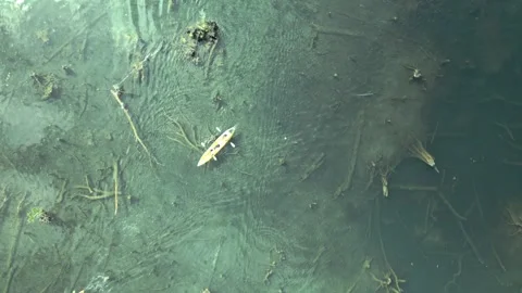 The video shows footage from a drone capturing a kayaker paddling in a serene Stock Footage 259644190