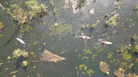 The video shows footage from a drone capturing a kayaker paddling in a serene Stock Footage 259644281