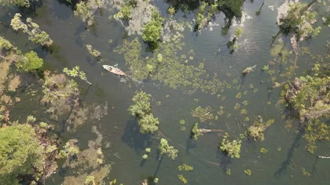 The video shows footage from a drone capturing a kayaker paddling in a serene Stock Footage 259644462