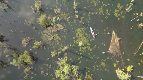 The video shows footage from a drone capturing a kayaker paddling in a serene Stock Footage 259644517