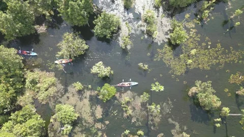 The video shows footage from a drone capturing a kayaker paddling in a serene Stock Footage 259644665