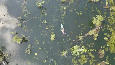 The video shows footage from a drone capturing a kayaker paddling in a serene Stock Footage 259644674