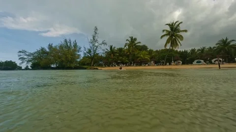 This video shows a tranquil beach with water and lush greenery Stock Footage 313822241