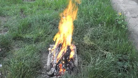 The video shows a tree and the boards are burning on the green grass. Cooking ba Stock Footage 108277572