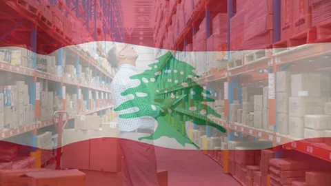 The video shows a warehouse worker using a digital tablet while checking Stock Footage 330475254